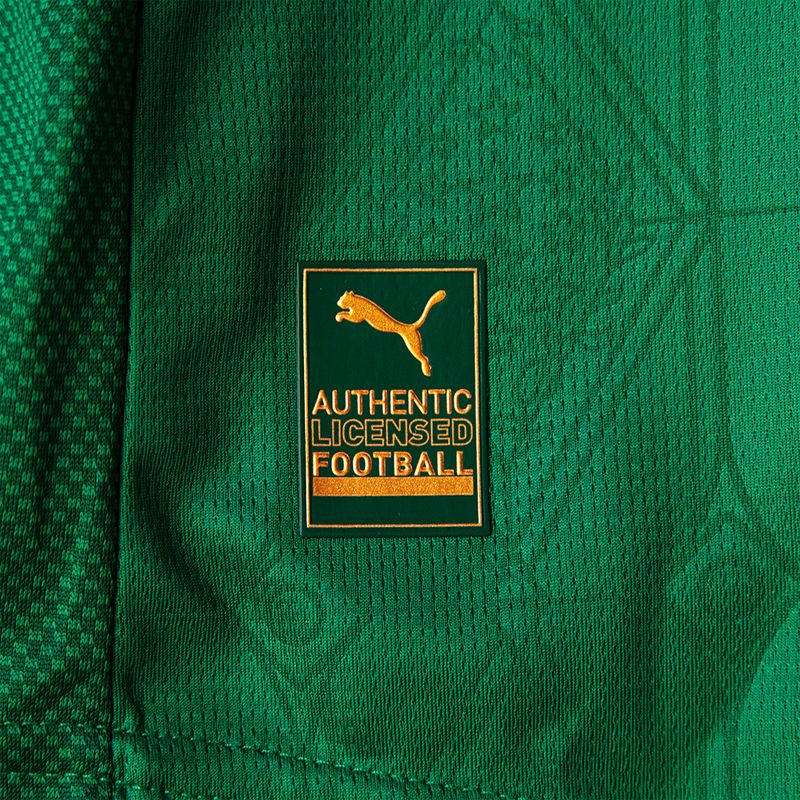 Palmeiras 2025 Home Jersey